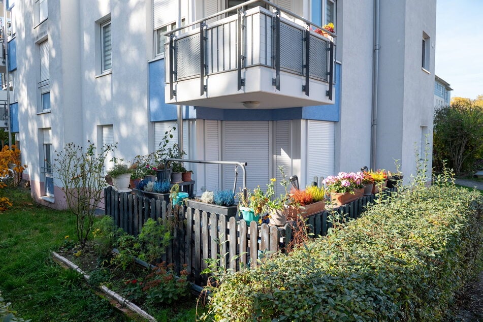 Ein kleines Stück Großstadtidylle mit Hollywoodschaukel, Hecke und Blumenkästen - doch hinter den geschlossenen Jalousien der Erdgeschosswohnung spielte sich ein tödliches Familiendrama ab.