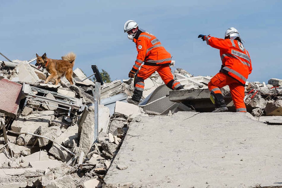 Hundeführer und ihre Spürhunde trainieren in Mecklenburg-Vorpommern das Aufspüren verschütteter Personen im Rahmen einer EU-Katastrophenschutzübung.