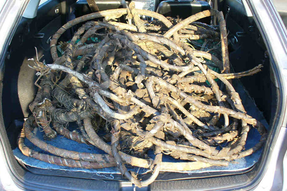 200 Kilo Kabel fanden die Ermittler im Kofferraum des Mazdas.