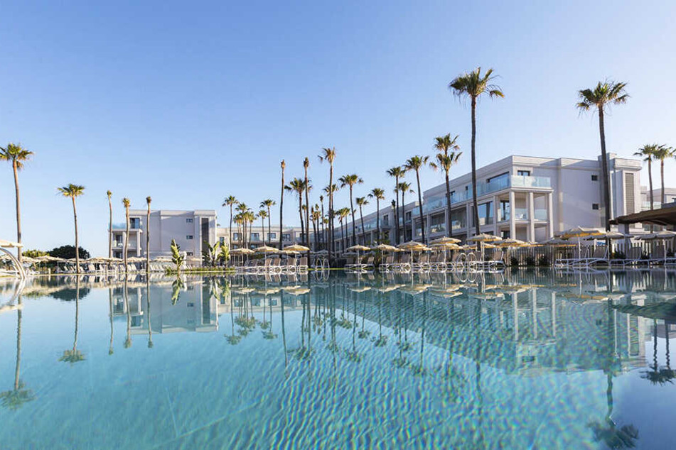 Der Barrosa Park in Chiclana de la Frontera. Hier werden die Veilchen im Januar überwintern.