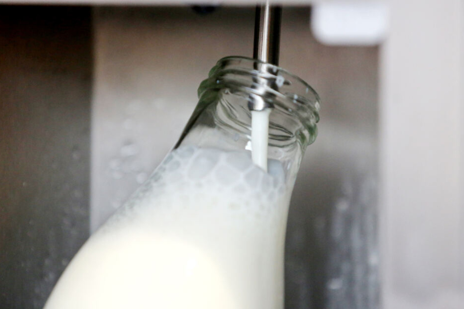 Milch sei doch nicht so ungesund.
