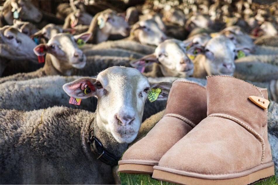 Are vegan UGG boots upping the shoe game?