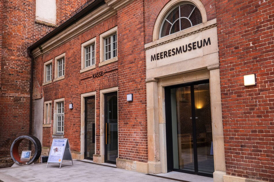 Mitarbeiter des Meeresmuseums Stralsund sehen sich immer noch Hass und Hetze ausgesetzt.