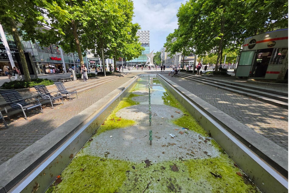 So sah der Brunnen nach der Verschmutzung aus. Ähnlich unappetitlich sind auch die Kosten für die Reinigung. (Archivbild)