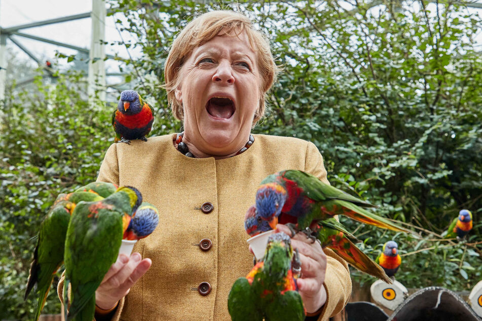 Attentat auf scheidende Bundeskanzlerin Angela Merkel (67)!