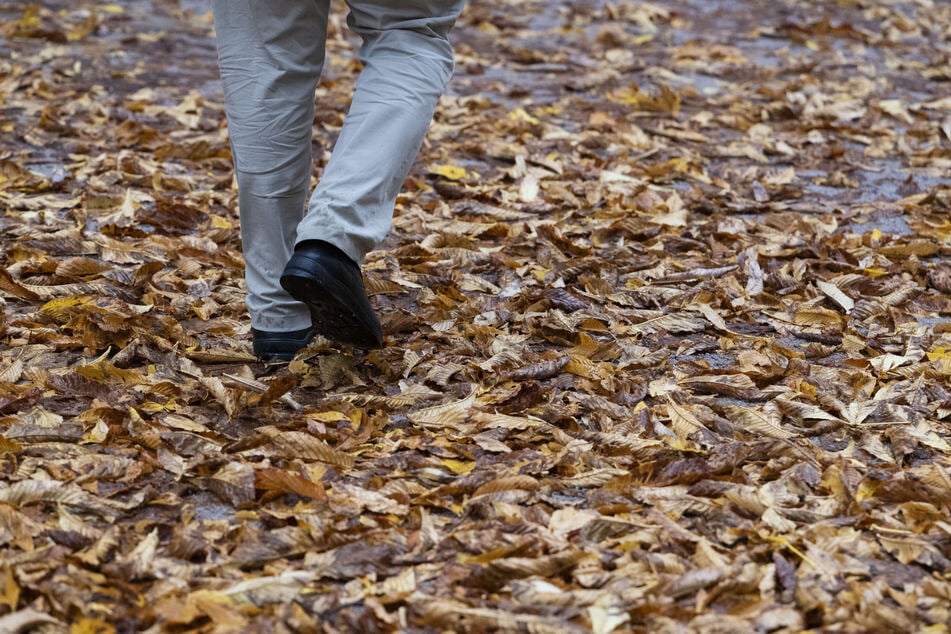 Bis zur Wochenmitte steht uns nasses Herbstwetter bevor. (Symbolbild)