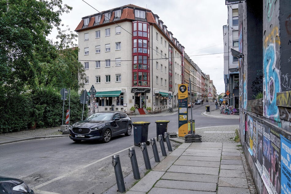 In der Dresdner Neustadt treibt die Tigermücke Tag wie Nacht ihr Unwesen. Kleinste Wasseransammlungen seien ausreichend für die Entwicklung der Larven und Puppen, hieß es.