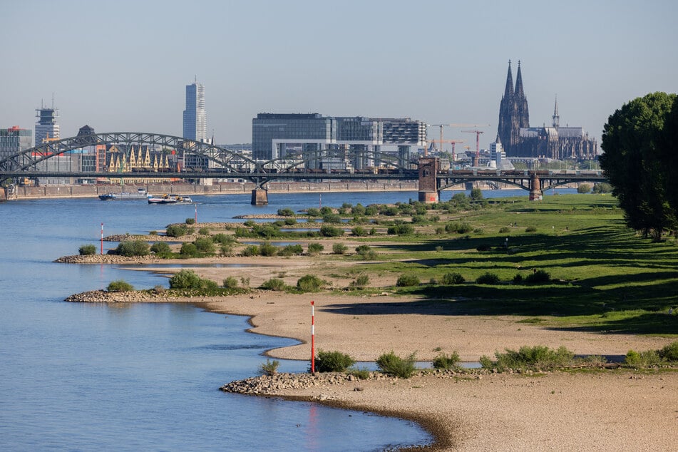 Am Wochenende klettert das Thermometer in Köln auf bis zu 21 Grad - perfektes Wetter, um einen Spaziergang am Rhein zu genießen!