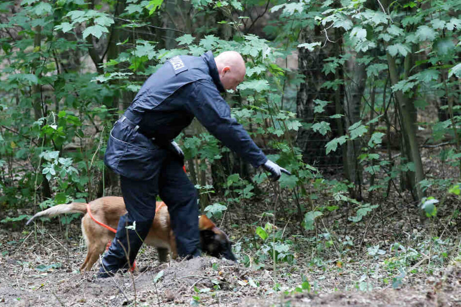 Ein Leichenspürhund hat die Polizisten bei der Suche nach der Vermissten unterstützt.