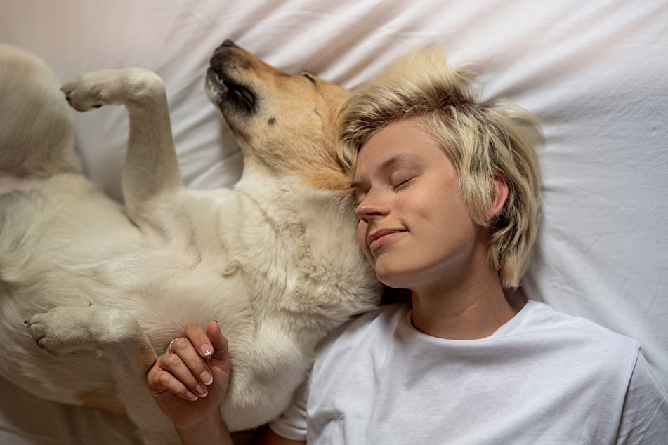 Kontaktliegen stärkt die Bindung zwischen Hund und Mensch.