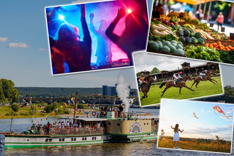 Dresden: Drachen, Rennbahn, Maßbierfest: 8 Tipps für euren Samstag in Dresden und Umgebung