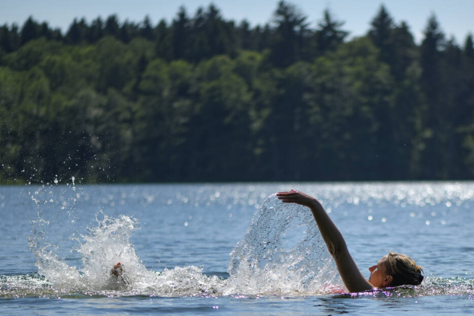 Eine Frau, die durch den See in Kärnten schwamm, verhedderte sich in Ufernähe in Seerosen und ertrank beinahe. (Symbolbild)