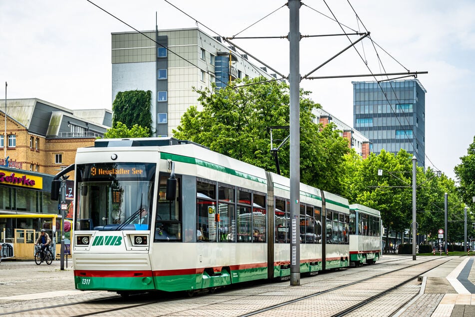 Zwischen 16.37 und 17 Uhr beleidigten die drei Männer mehrere Fahrgäste der Straßenbahnlinie 9 Richtung Neustädter See.