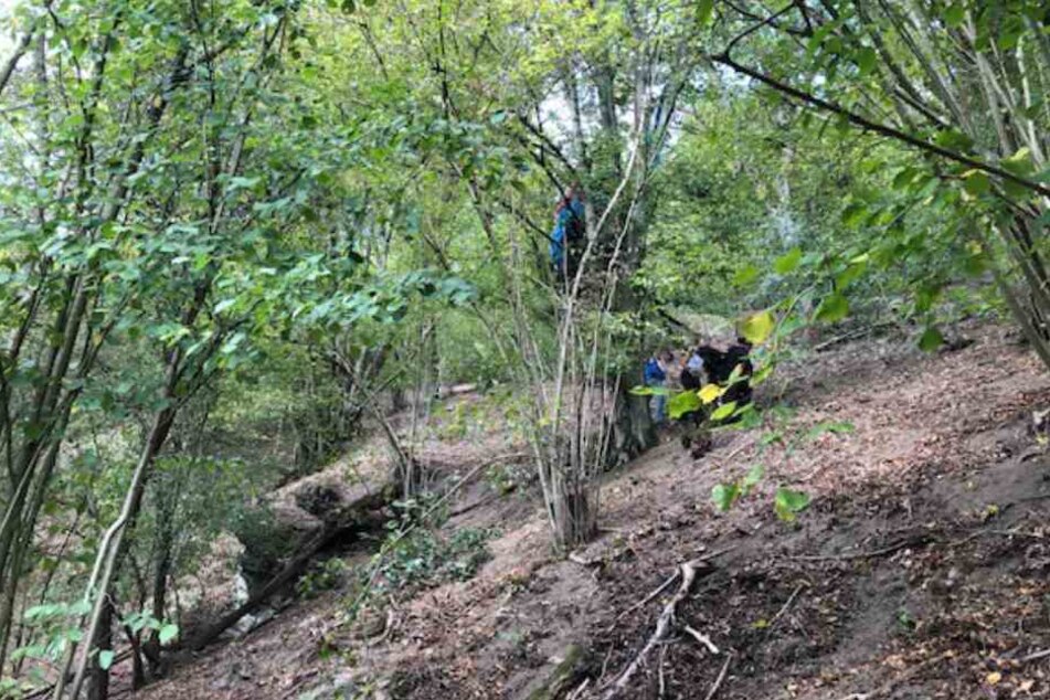 Der Mann hing mit seinem Gleitschirm in einem Baum an einem Steilhang fest.