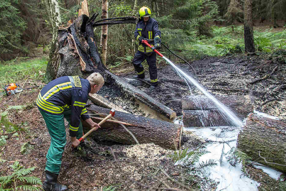 Die Feuerwehr löschte schnell den aufkeimenden Brand ab.