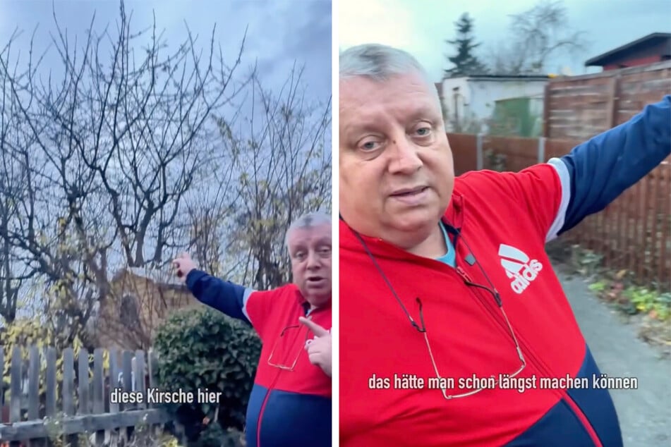 Einige Pächter haben ihre Bäume ziemlich hoch wachsen lassen. Michael Baumann (62) ärgert sich über die Faulheit.