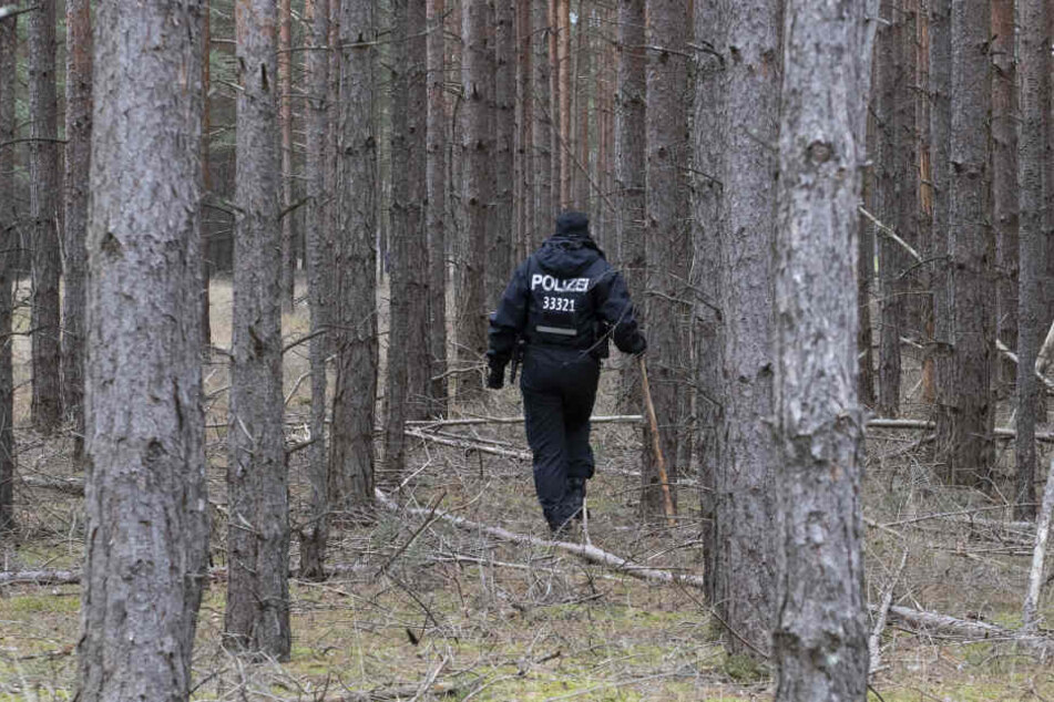 Ein Polizist durchsucht ein Waldstück im Landkreis Oder / Spree auf der Suche nach Rebecca.