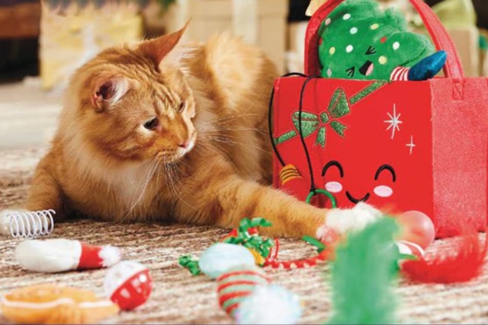 Feeling festive? Check out Chewy's brand new Holiday Deals