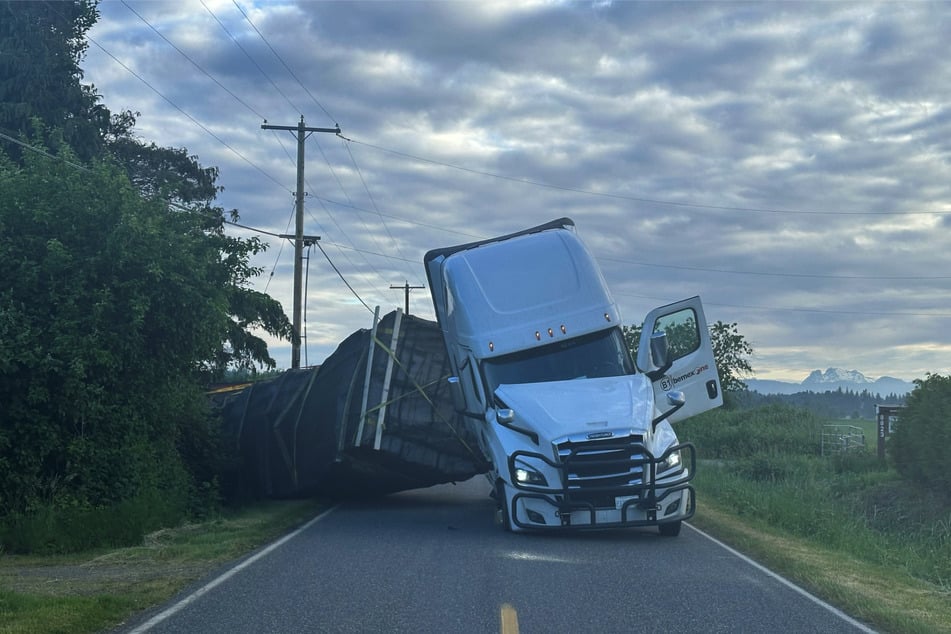 Bei einem Unfall im US-Bundesstaat Washington konnte die tierische Ladung aus einem Laster entkommen.