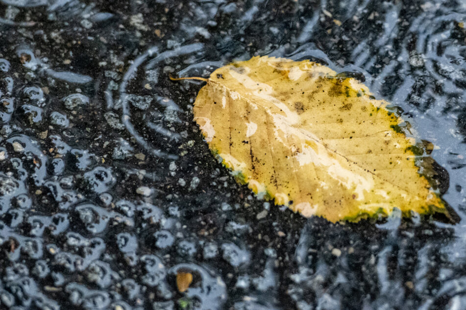 Es wird nass in Bayern. Allerdings ist das nicht alles, was das Wetter zu bieten haben wird. (Symbolbild)