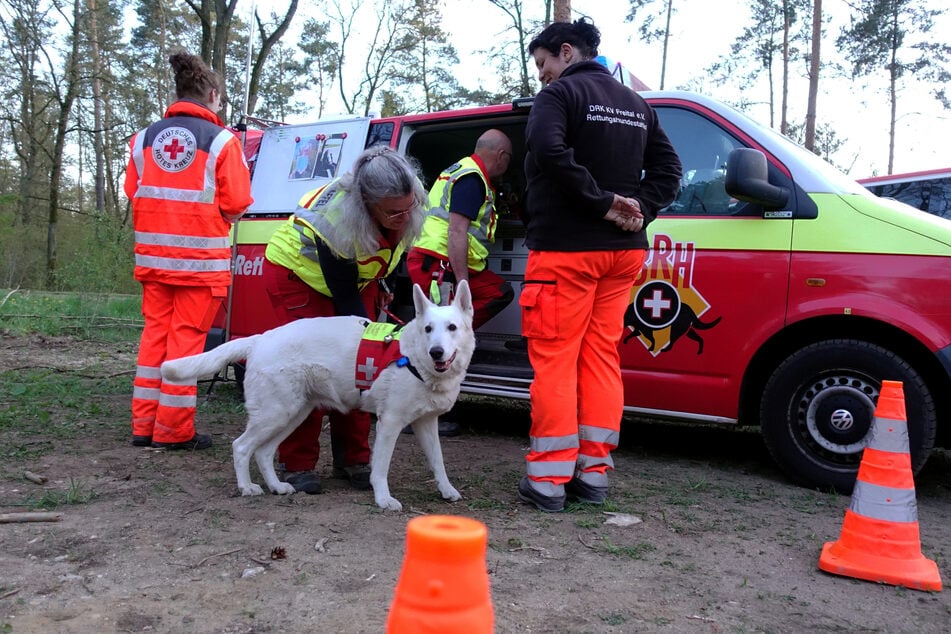 Teil der Vermisstensuche war die BRH Rettungshundestaffel Sachsen-Ost mit ihrem Bereitschaftsstandort in Pirna-Zatzschke