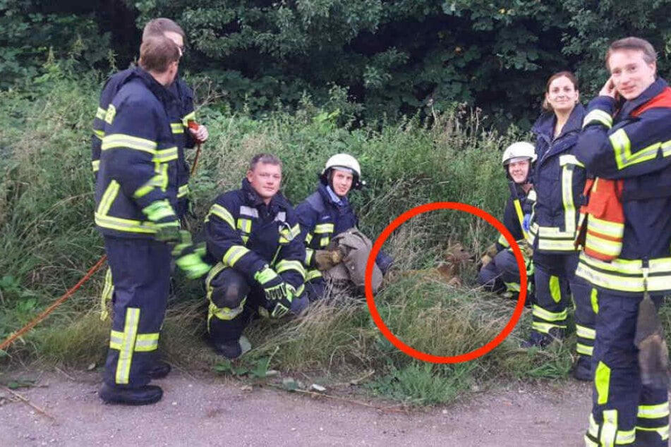 Stolz posieren die Lebensretter mit dem kleinen Rehkitz.