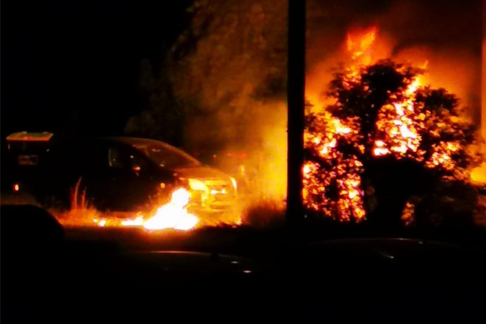 Gegen 0.30 Uhr wurden Anwohner auf das Feuer aufmerksam.