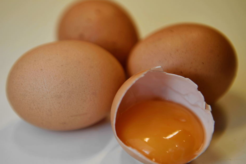 Mit Fipronil vergiftete Eier sorgte nicht nur in Hessen für Entsetzen. (Symbolbild)