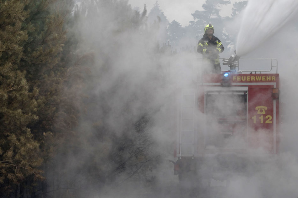 Ein Feuerwehrmann löscht bei einem riesigen Waldbrand in einer Schonung bei Treuenbrietzen ein Feuer.