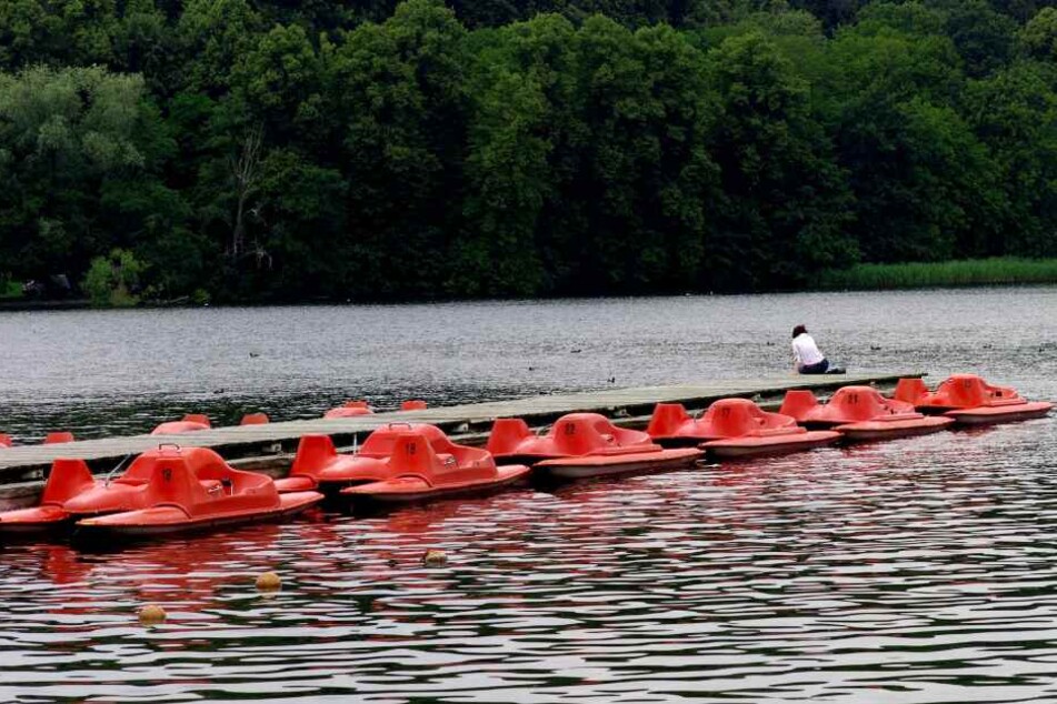 Mit einer Fläche von 170 Hektar ist der Große Seegerberger See einer der größeren in Schleswig Holstein.