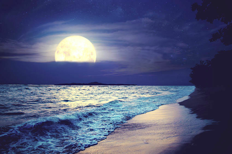 Bei Vollmond wirkt der Mond besonders mystisch und kraftvoll.