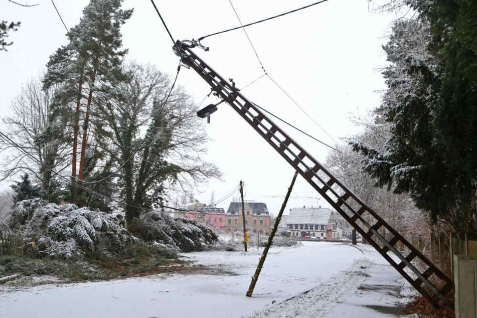 Zahlreiche Leitungen waren durch umgestürzte oder abgebrochene Bäume beschädigt.