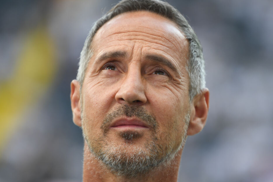Adi Hütter geht in seine zweite Bundesliga-Saison als Chef-Coach von Eintracht Frankfurt.