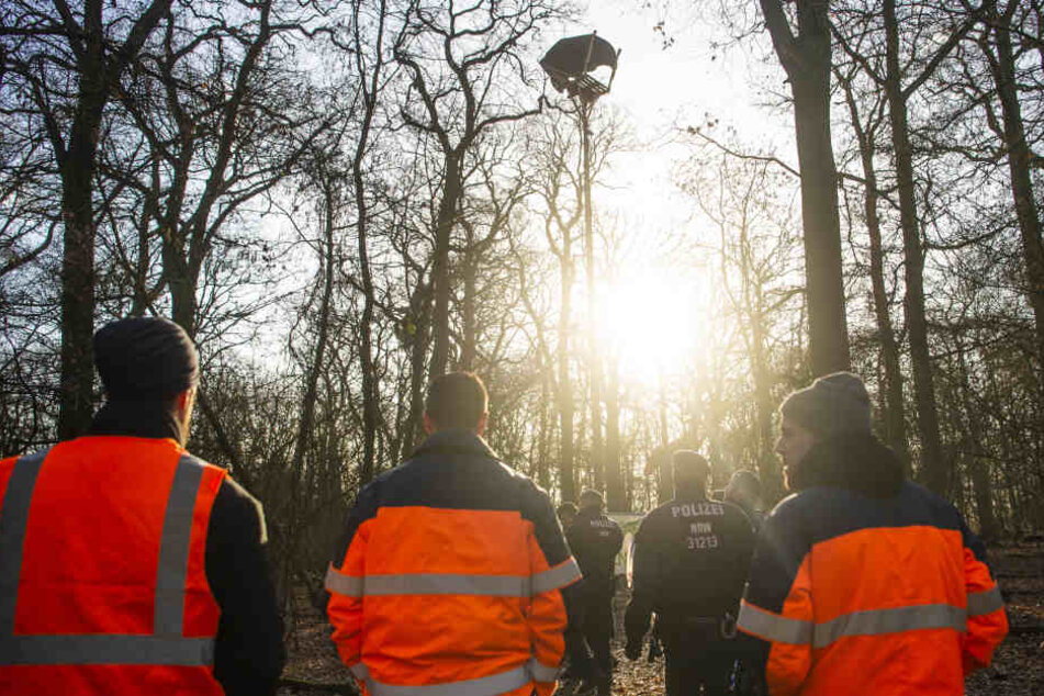Die Polizei wird den Hambacher Forst vorerst nicht räumen.