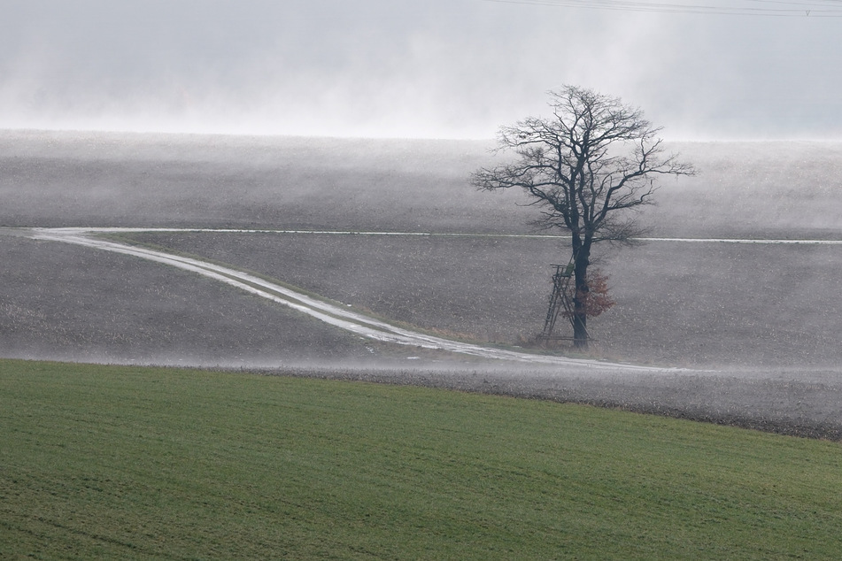 In der ersten Maiwoche wartet wieder Regen auf Sachsen-Anhalt.