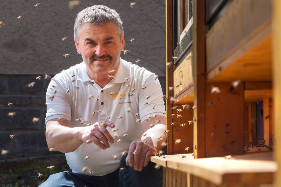 Ingenieur und Hobbyimker Jürgen Schmiedgen (64) nutzt die heilende Kraft der Bienen.