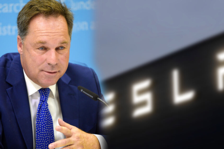 BDI-Hauptgeschäftsführer Holger Lösch begrüßt die Gerichtsentscheidung zur weiteren Waldrodung für die Tesla-Fabrik.