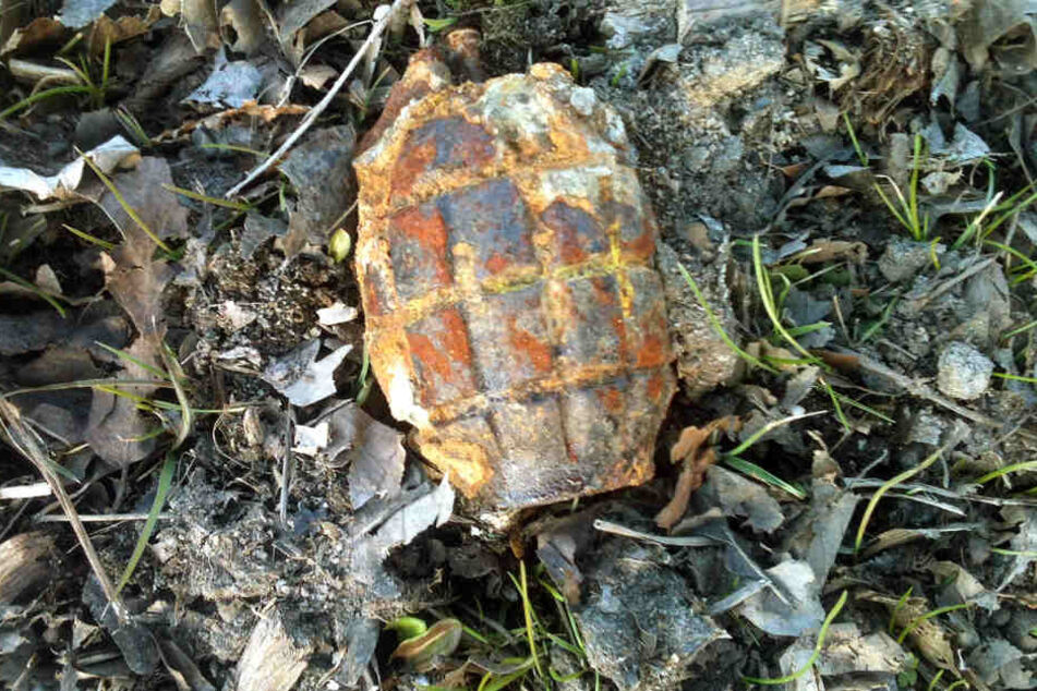 Bei den Aufräumarbeiten wurden etliche Granaten und weitere Munition gefunden. (Symbolbild)