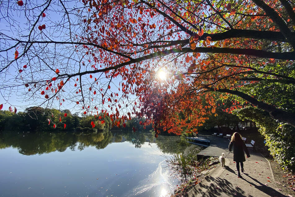 Raus an die frische Luft: Wer kann, sollte das sonnige Herbstwetter genießen!