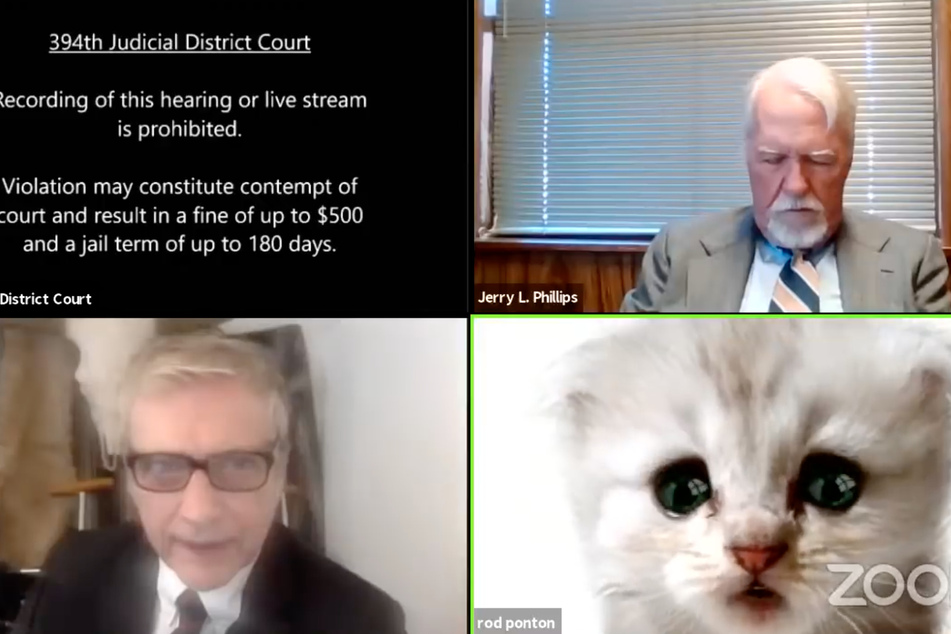 Attorney Ron Ponton appeared as a fluffy kitten during an important Zoom hearing.