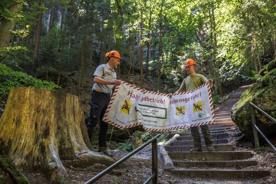 Ranger Jörg Roß (52) und Waldarbeiter Lucas Hänsel (24) geben den Aufstieg zu den Schwedenlöchern frei.