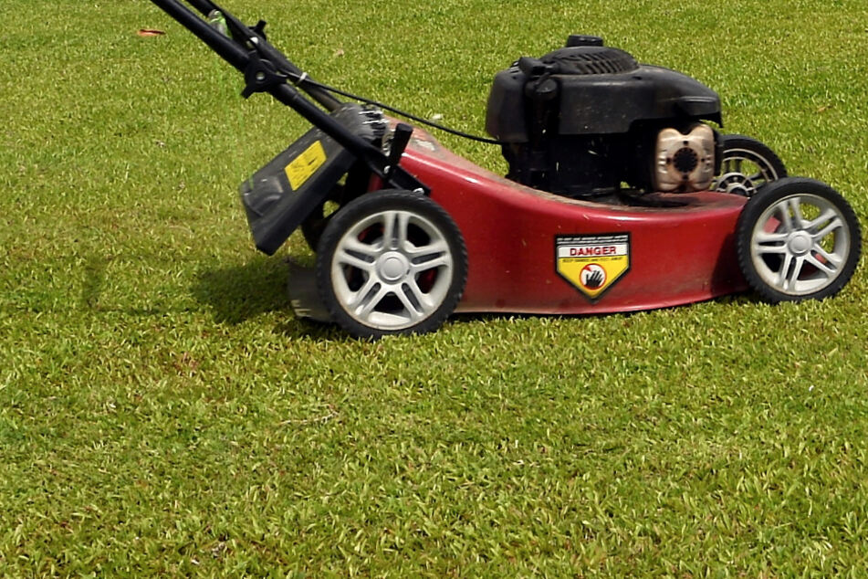 Der Mann wurde beim Rasenmähen attackiert. (Symbolbild)