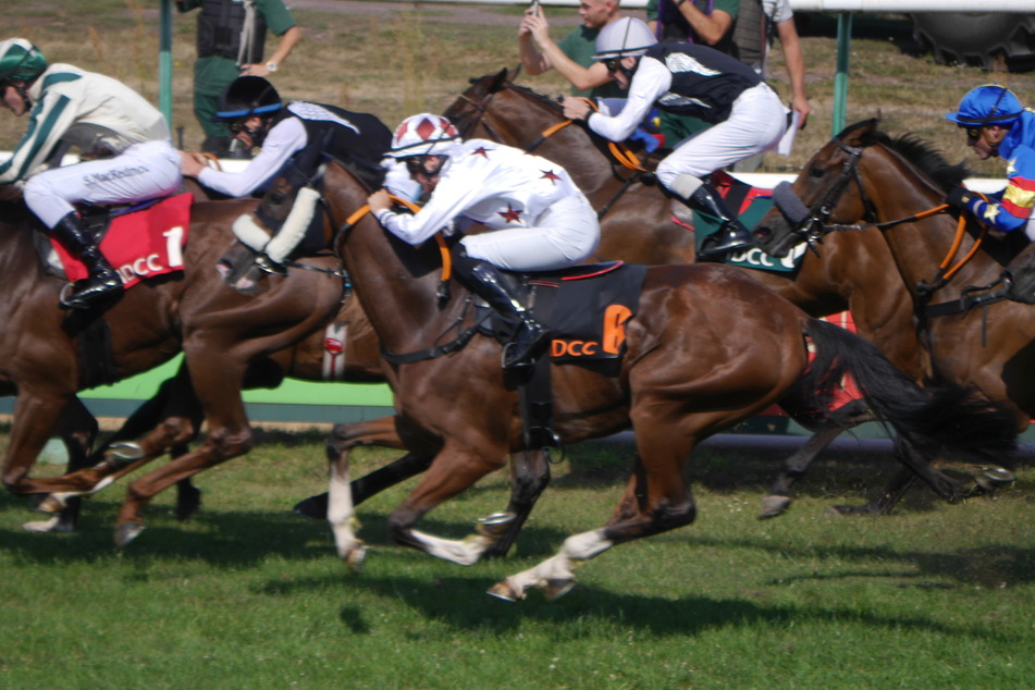 Die Jockeys und ihre Pferde gaben trotz 30 Grad ordentlich Gas in der prallen Sonne.