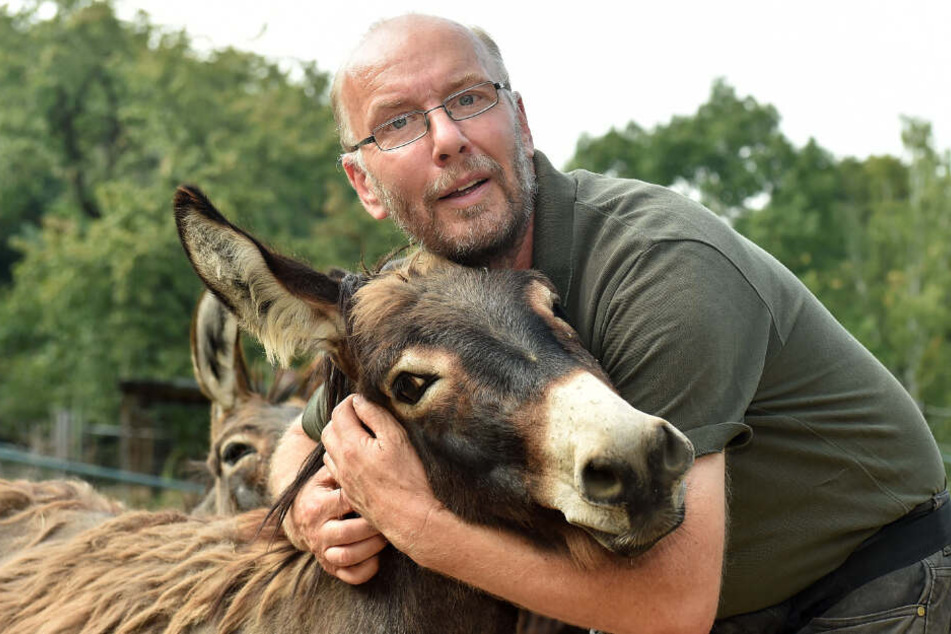 Für seine Esel sucht er schon ein neues Domizil: Der Meißner Tierparkchef Heiko Drechsler (57) will Ende des Jahres dichtmachen.