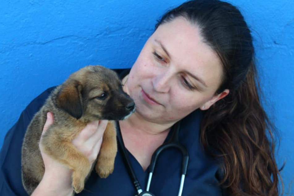 Tierärztin Amy Jackson-Moss mit einem ihrer Zöglinge. Ob dieser Hund zu denen gehört, die eingeschläfert werden mussten, ist nicht bekannt.