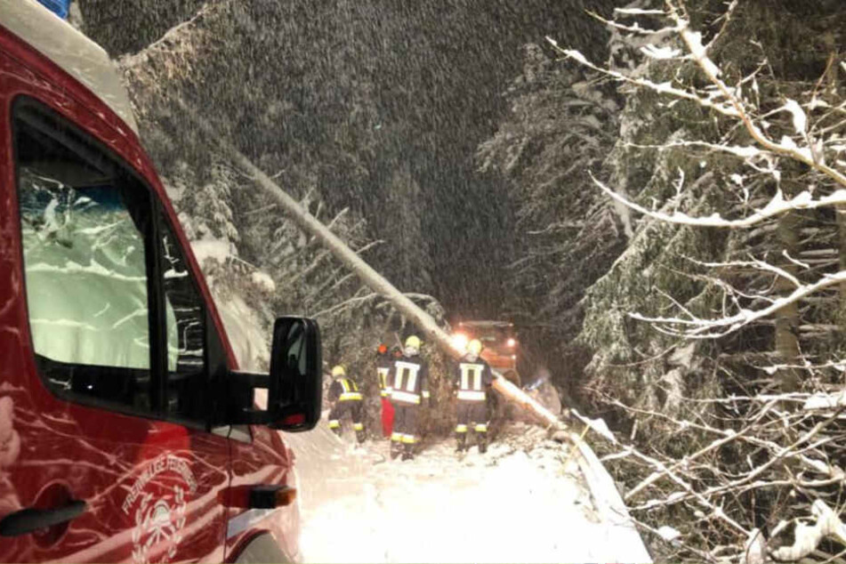 Die Freiwilligen Feuerwehren Südtirol müssen etliche umgestürzte Bäume von den Straßen räumen.