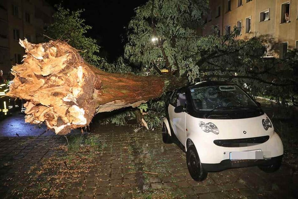 Der Smart ForTwo wurde beschädigt, die Feuerwehr konnte den Baum vom Auto ziehen.
