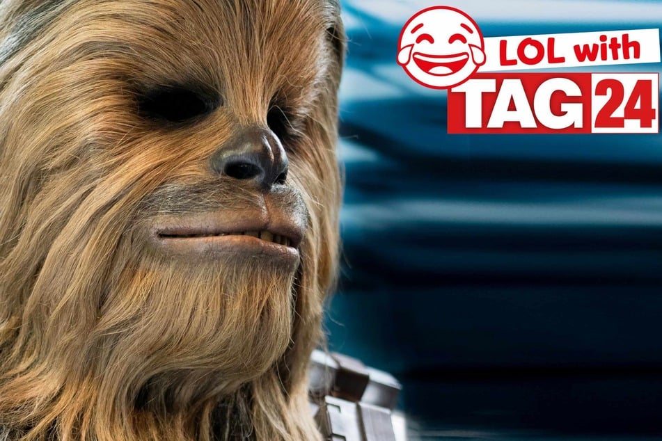 Joke of the Day for May 4, 2026: A Star Wars Day funny