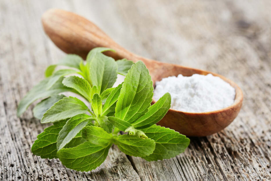 Stevia beeinflusst den Blutzuckerspiegel nicht und ist daher für Diabetiker von Interesse.