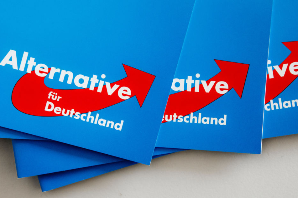 Vermummte haben eine Veranstaltung der AfD gestört. Mehrere Menschen erleiden ein Knalltrauma. Wer steckt dahinter?
